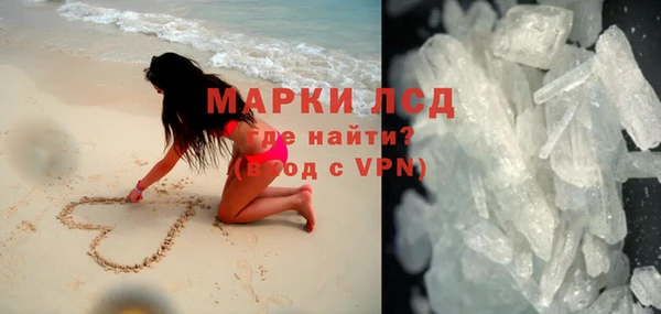 гидра Аркадак