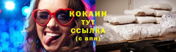 прущие грибы Армянск