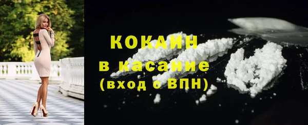 прущие грибы Армянск