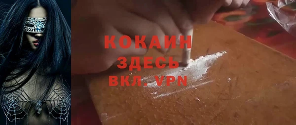 прущие грибы Армянск
