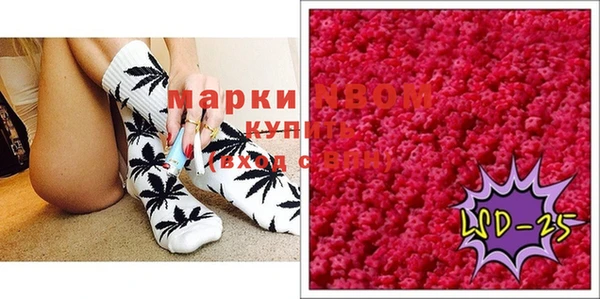 прущие грибы Армянск