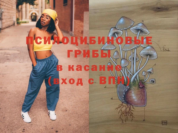 прущие грибы Армянск