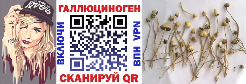 цена   мега зеркало  Псилоцибиновые грибы GOLDEN TEACHER  Покачи 